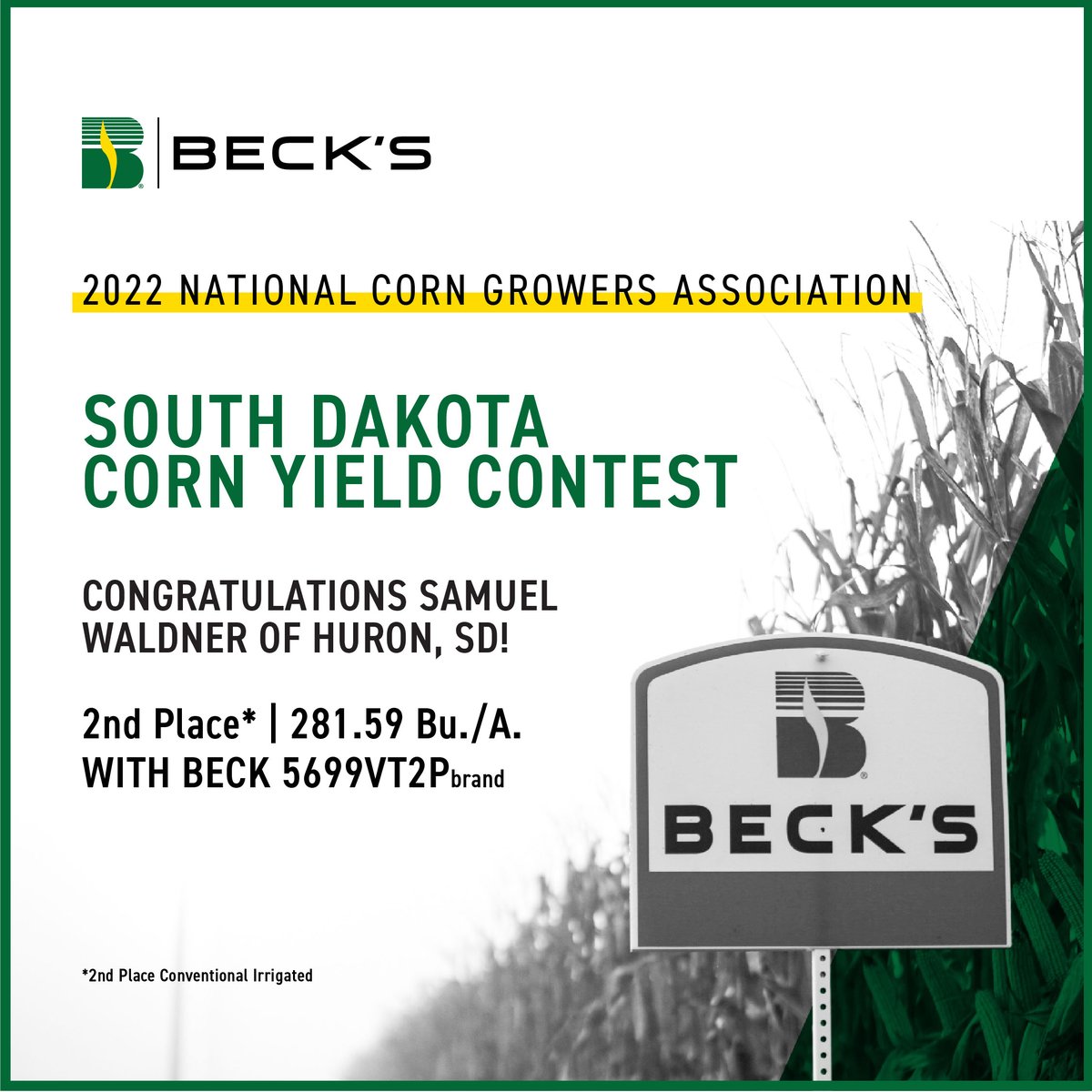 BecksHybrids's tweet photo. Extra! Extra! Read all about it! 📣

Samuel Waldner of Huron, SD, took second place (Conventional Irrigation) in the 2022 National Corn Growers Association Yield Contest, yielding an impressive 281.59 Bu./A. with BECK 5699VT2Pbrand corn!

Congrats, Samuel!

#TheSignsofYield https://t.co/IST6S1S9u8