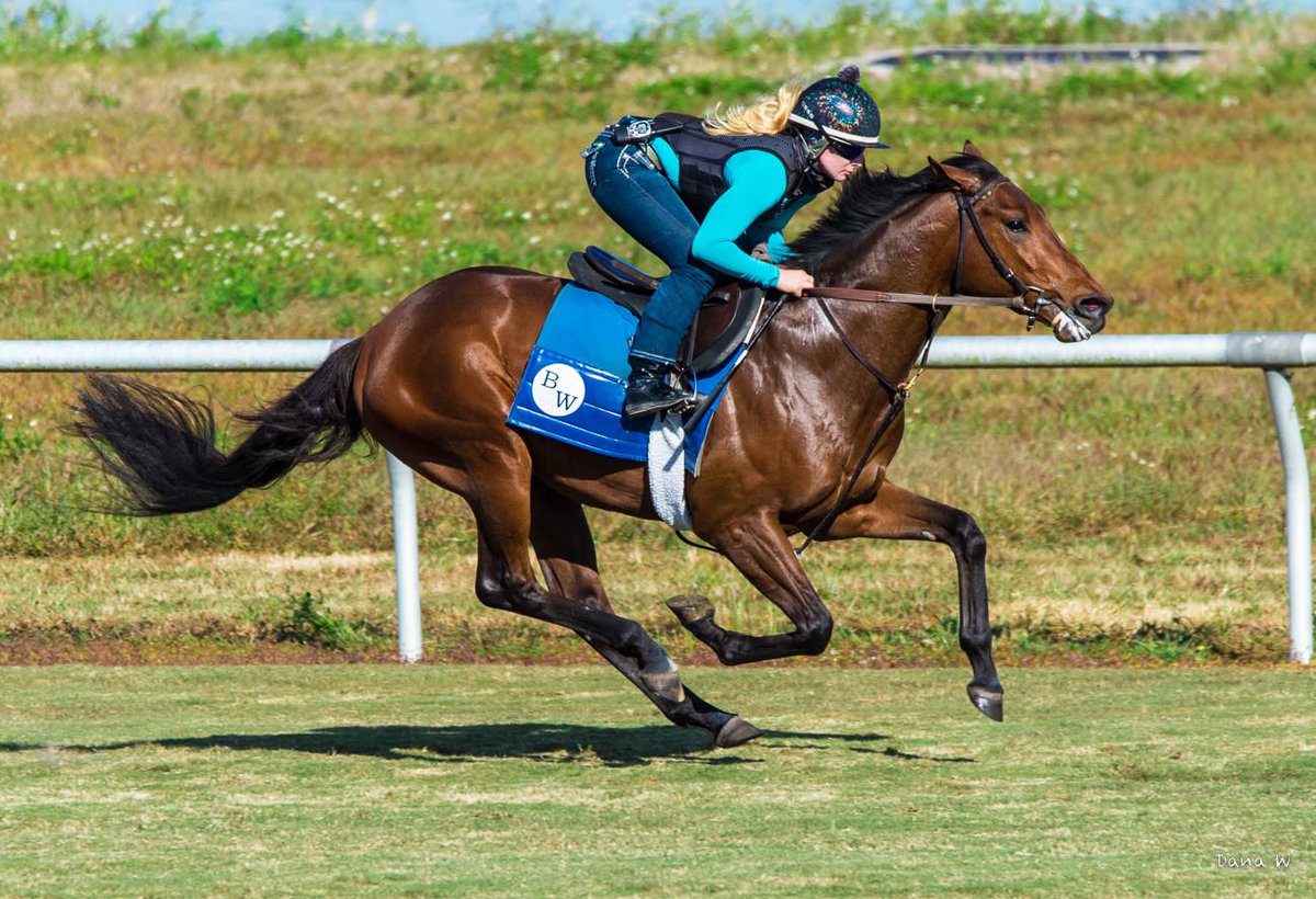 Electra Boone tweet media