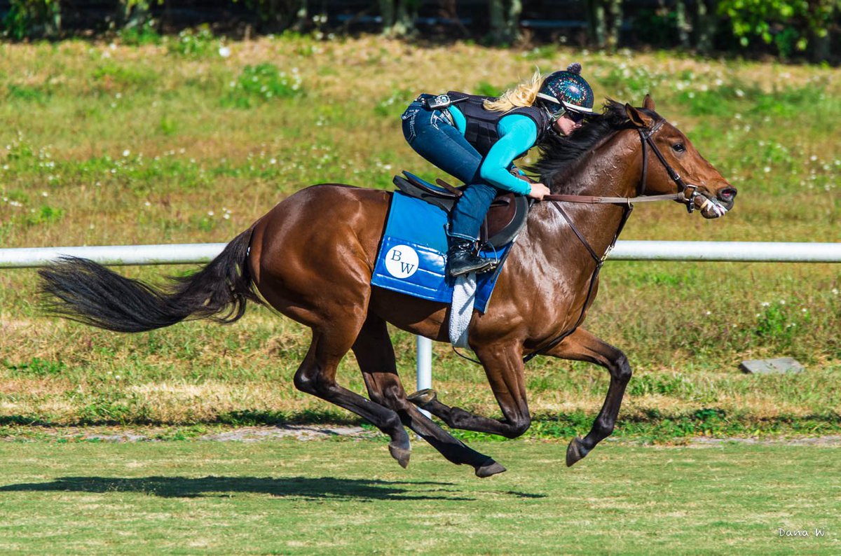 Electra Boone tweet media