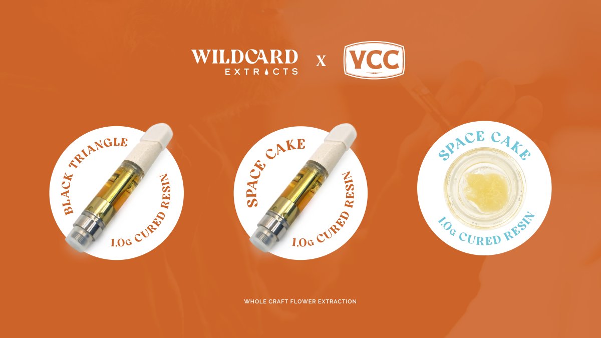 Wildcard x @VicCannabisCo have teamed up to release a trio of craft extracts worthy of being from BC. - Black Triangle Cured Resin Vape: Indica dom. with grounding earthy and musky sentiments -Space Cake Cured Resin & Resin Vape: Sativa dom. with vanilla and menthol flavors.