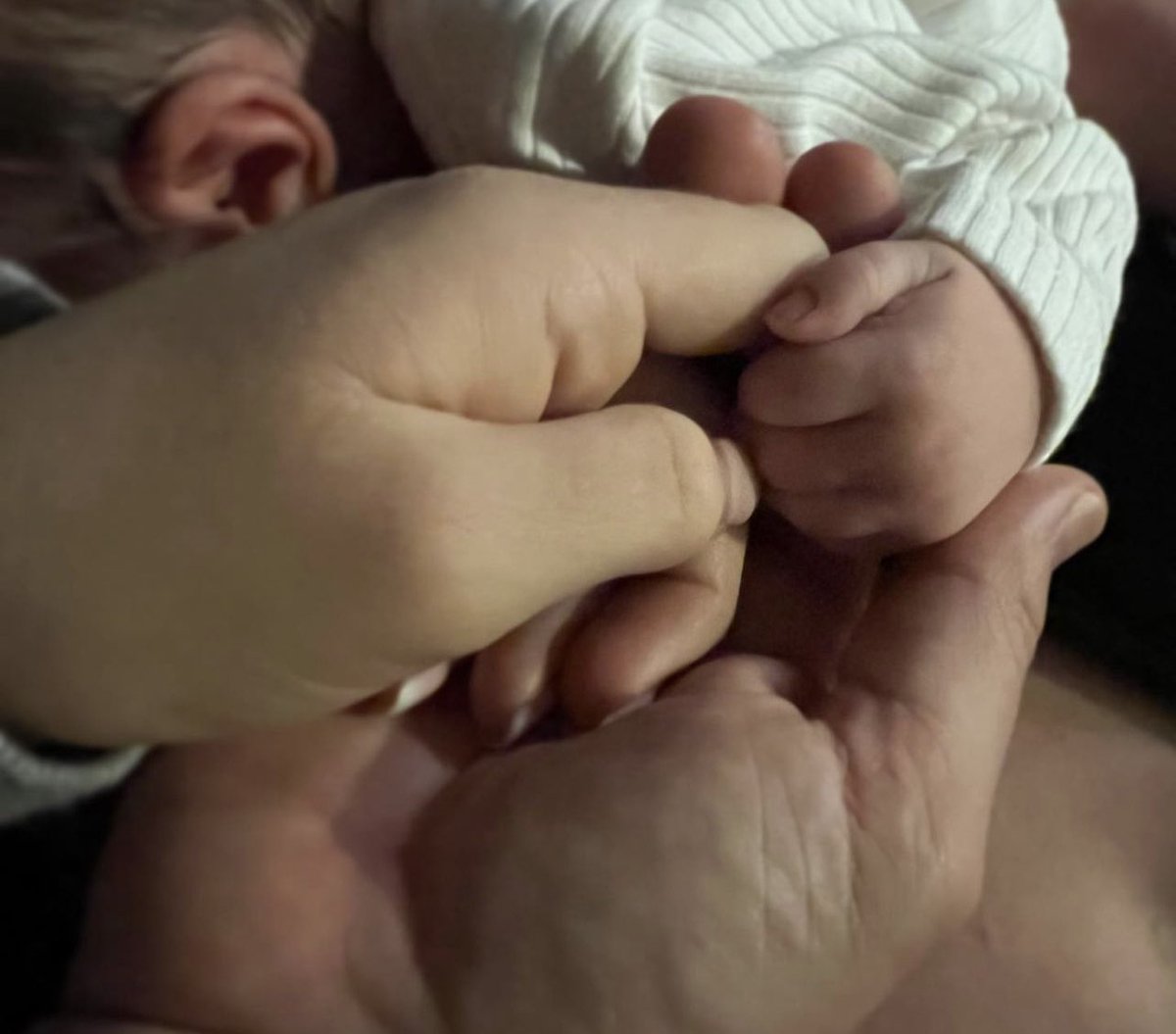 Shawn Spears™️ tweet media