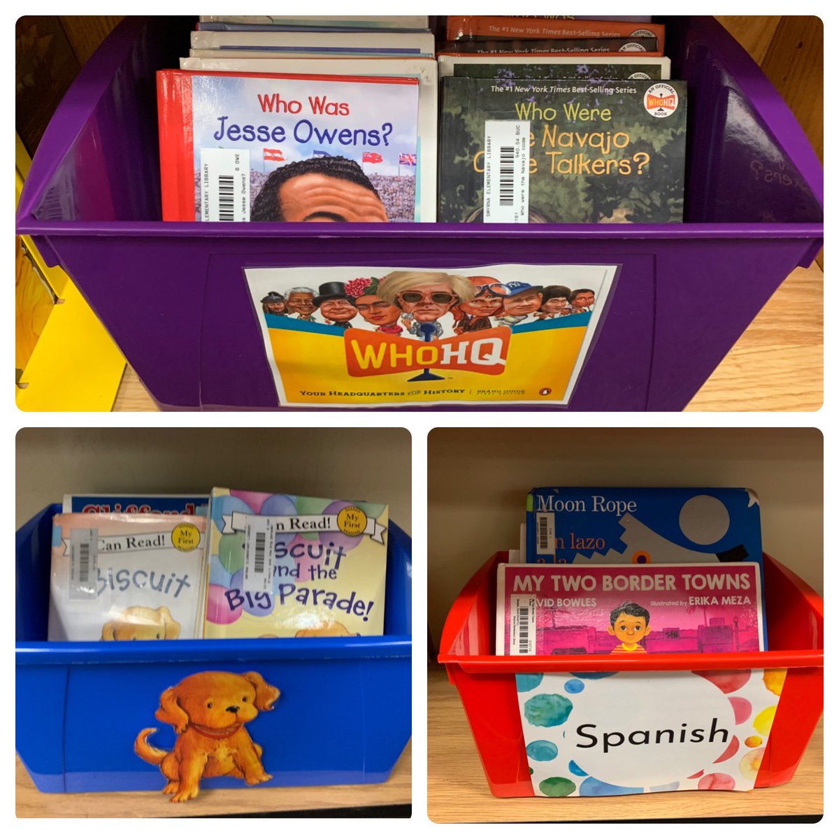 Ashley Sloniecki tweet media