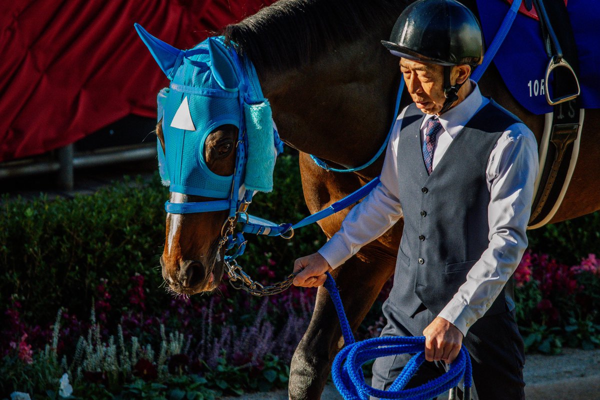 '22/ #中山大障害
#ビレッジイーグル #大江原圭
#中山競馬場