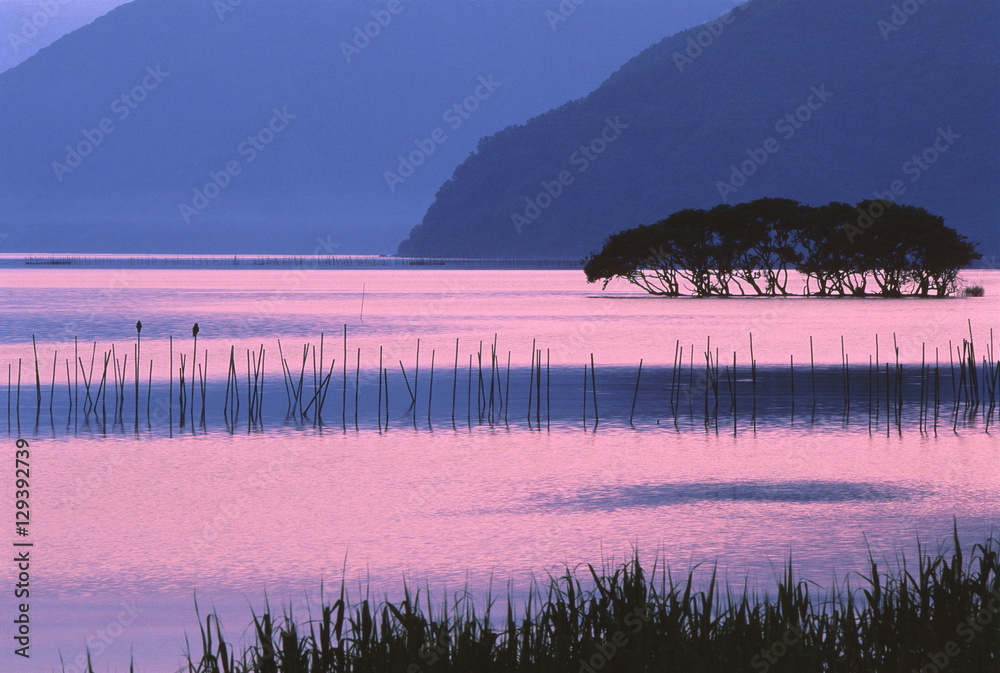 velvia100's tweet photo. Lake Biwa of dusk
https://t.co/e8LxZXlmg5
#Sunset #eveningglow #evening #LakeBiwa #lake #lakesurface #watersurface #tree #peninsula #nature #landscape #Japan https://t.co/SZRuQfunsr