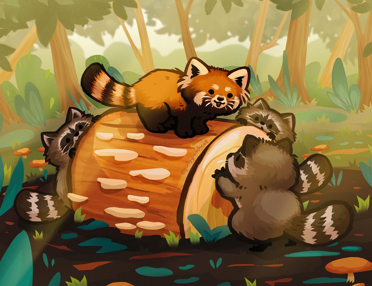 pudgypeachcat tweet picture