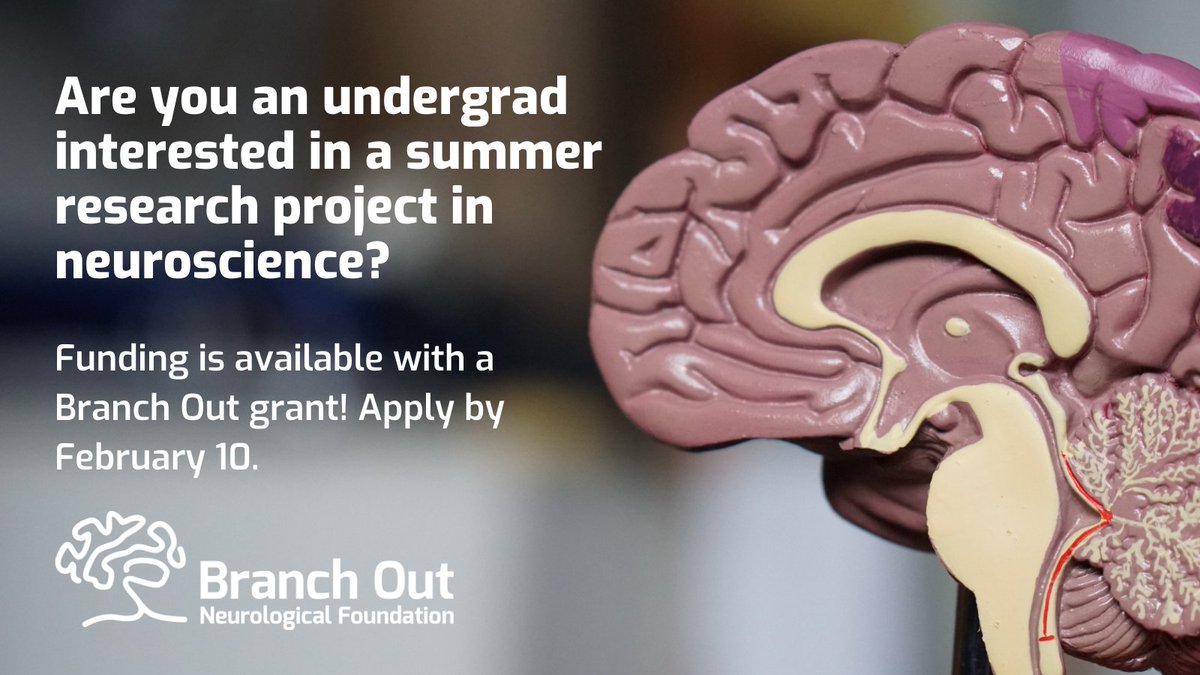 The Mathison Centre (@mathisoncentre) on Twitter photo Are you an undergraduate student interested in a summer research project involving
neuroscience? Apply for a grant from the Branch Out Neurological Foundation <a href="/BranchOutNF/">Branch Out Foundation</a> to make it a reality!
bit.ly/3iFWpJX Are you an undergraduate student interested in a summer research project involving
neuroscience? Apply for a grant from the Branch Out Neurological Foundation <a href="/BranchOutNF/">Branch Out Foundation</a> to make it a reality!
bit.ly/3iFWpJX