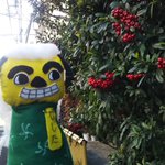 ツイートに含まれる画像