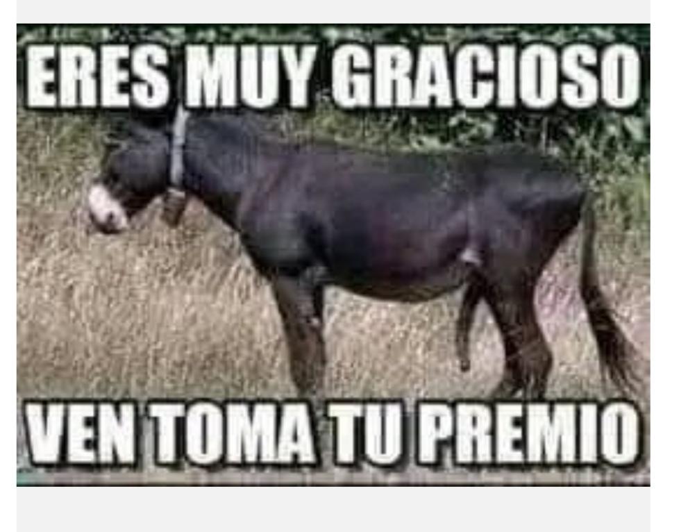 JairoRa90801793's tweet photo. @LilianaCastanoG @IreneVelezT https://t.co/0GGxghl60y