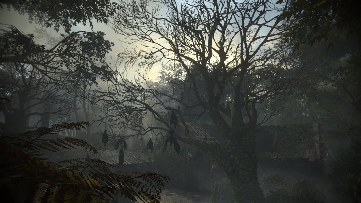 Jakeafcb212 tweet media