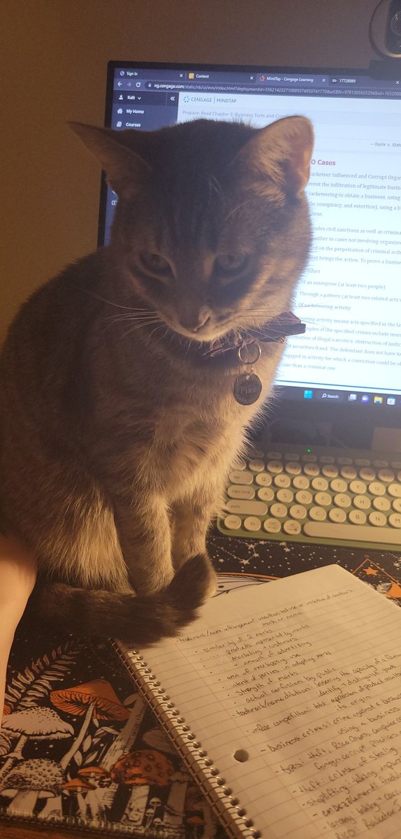 //baby's helping me with homework