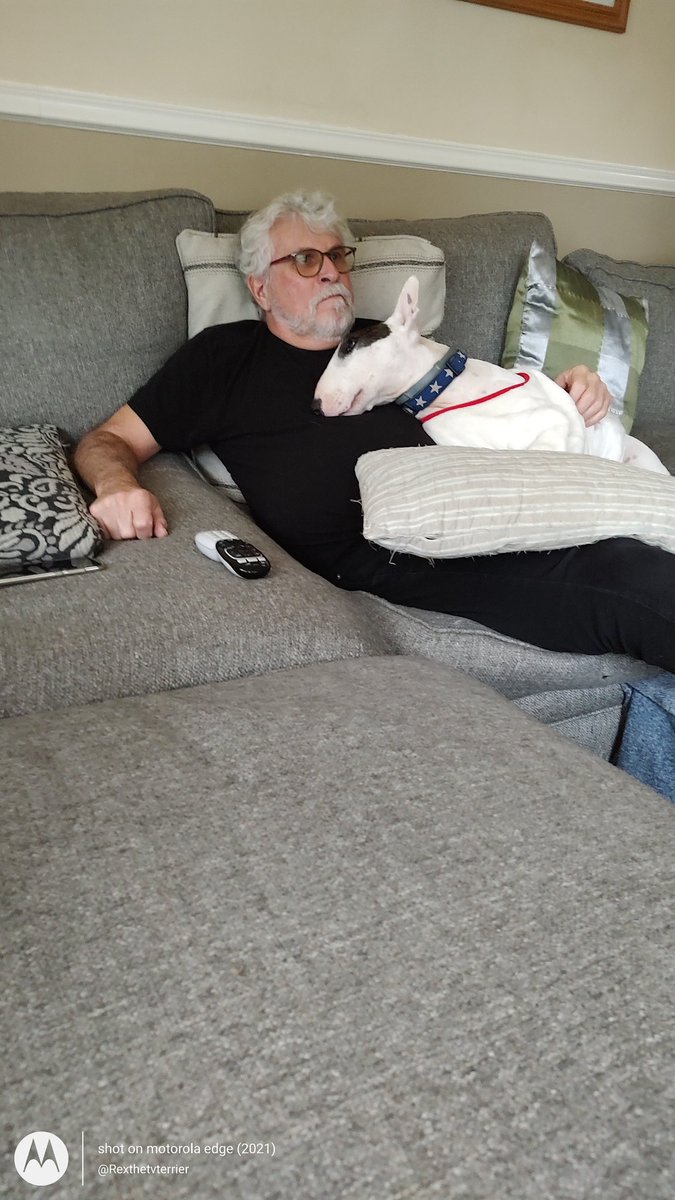 Spike The Rescue Pup & Rex The TV Terrier ®🌈🐾 tweet media