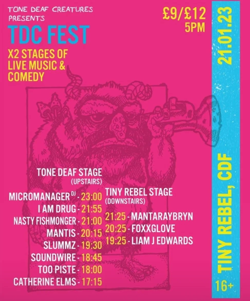 Posting this photo of my cute new piercing to remind you that my tour starts this weekend! I'm playing <a href="/TNDFCRTRS/">Tone Deaf Creatures</a> Fest in <a href="/TinyRebelCdff/">Tiny Rebel Bar Cardiff</a> on Saturday, I'm opening the night at 5.15pm. Tickets are cheaper in advance so grab yours now: ticketsource.co.uk/tone-deaf-crea…