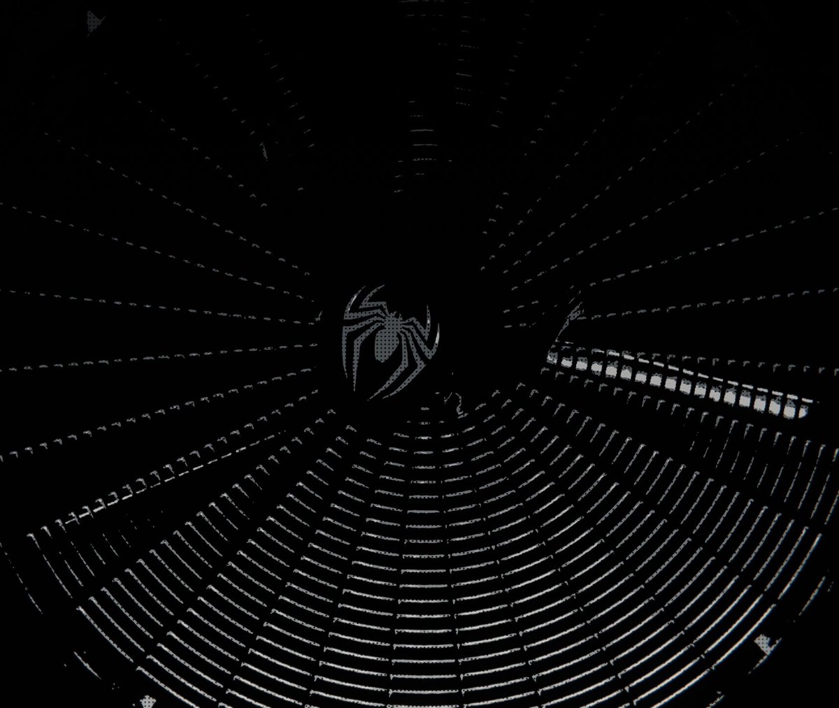Juvigam's tweet photo. Web of Spider-Man 🕸

#spiderman 
#marvelspiderman 
#SpiderManRemastered 
#virtualphotography 
#virtualphoto 
#vp 
#photomode 
#screenshot 
#playstation 
#psshare 
#BeGreater 
#InsomGamesCommunity https://t.co/ta6WiMkb0S