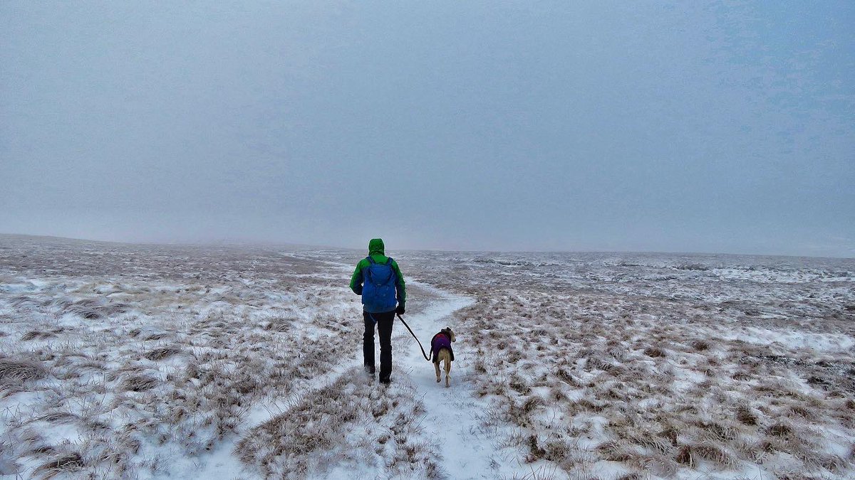 oldcrofthouse's tweet photo. #wainwrightwalks #mallerstang #westmorlanddales #yorkshiredaleswalks #yorkshiredalesnationalpark #walkingadventures #setthealarm #makethemostofeveryday #liveyourbestlife #thegreatoutdoors #kirkbystephen #cumbria @VisitEden https://t.co/oUUjuqiFP9