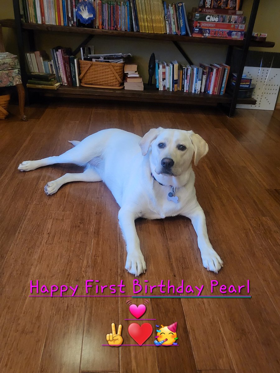 Mari Jo Mentzer-Doyle tweet media