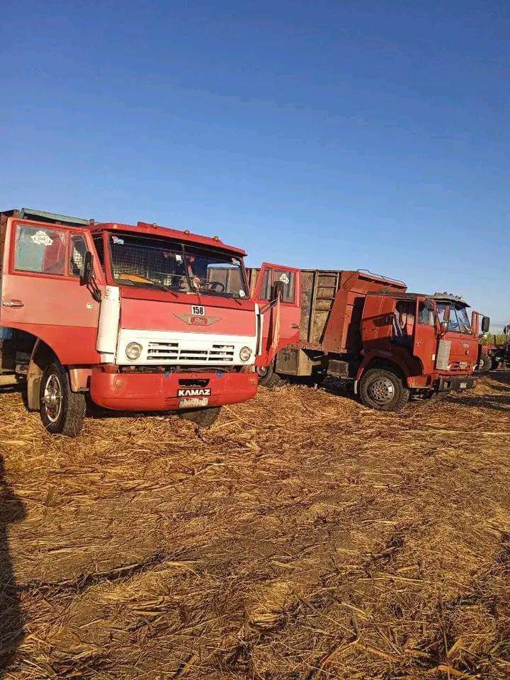 UBT Síboney  Tranzmec,
Trabajan sin descanso en apoyo a la zafra, en el Central Panamá.
#Azucareros
#TranzmecAvanza
#Tranzmec