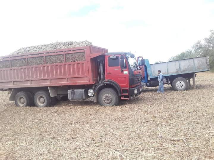 UBT Antonio Guiteras Tranzmec,
Trabajan por una zafra eficiente.
#Azucareros
#TranzmecAvanza
#Tranzmec