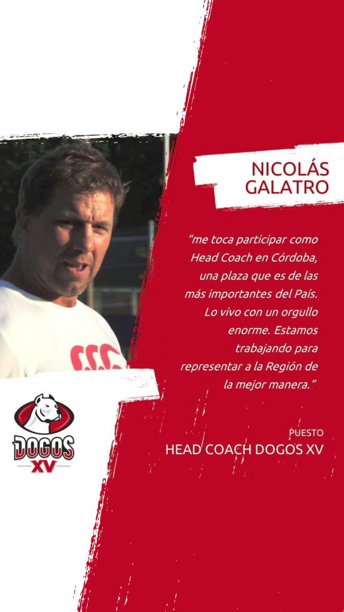 Dogos XV tweet media