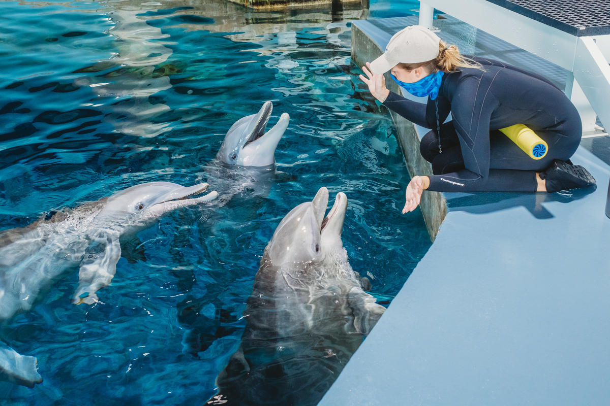 Winter, Hope, and PJ. Three peas in a pod. 🐬💙