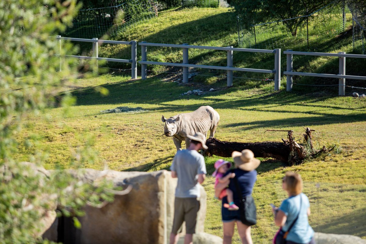 Talk a walk on the wonderfully wild side as a member at The Living Desert and receive exclusive discounts, opportunities, free/discounted admission at 150+ other zoos, gardens, and aquariums. Plan your pack's next great adventure at LivingDesert.org/Membership