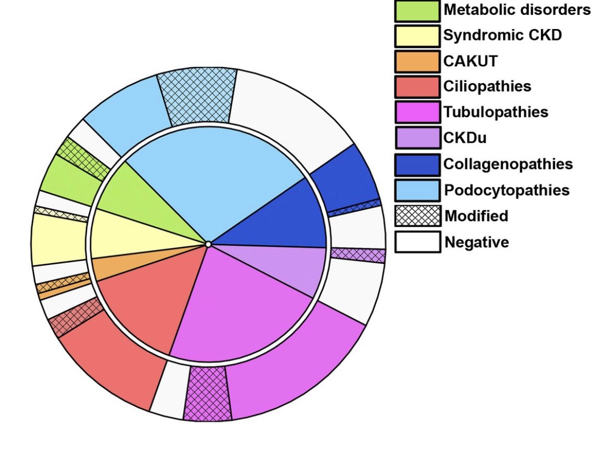 Our new study in JASN describes a diagnostic workflow for genetic kidney diseases using whole-exome sequencing that reaches a diagnostic rate of 67% (with similar rates in pediatric and adult patients), is cost-effective &amp; feasible in a real-world setting bit.ly/JASN076