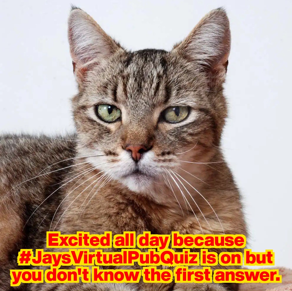 TJPicton's tweet image. My sister Tash and I are playing.  Parents are away for the week.  I&apos;m surviving.  Don&apos;t worry.  🙂  #JaysVirtualPubQuiz