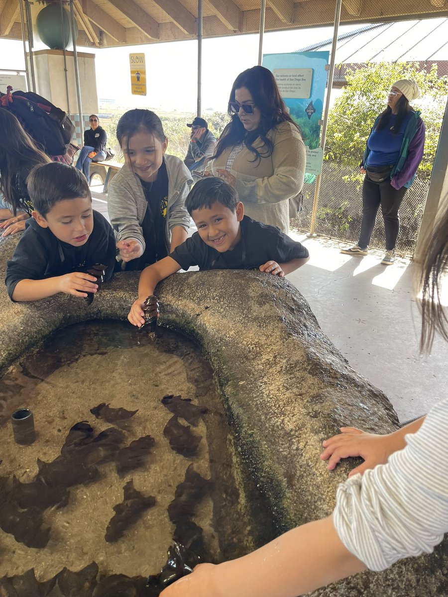 Guillermo Armas tweet media