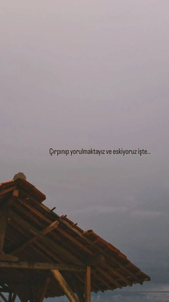 Ateş Pusatlı tweet media