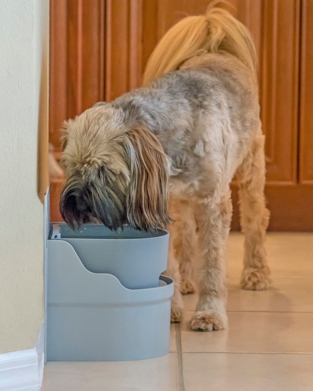 Perpetual Well Automatic Water Bowl - Perpetual Well