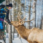 Photo by Snowmobile.com (@Snowmobilecom)