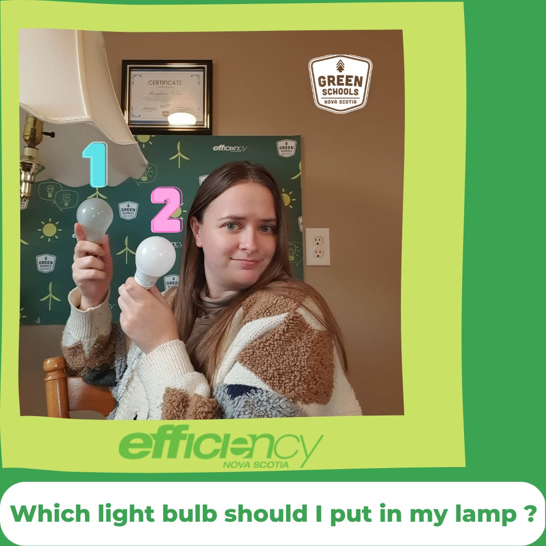 GreenSchools_NS's tweet photo. Our Cape Breton EO, Meaghan, has been busy this week doing Light &amp; Energy webinars💡! In light of that, which light bulb should Meaghan put in her lamp? 1 or 2? Do you know the difference? Let us know what you think!#efficiencyns #energyefficiency #environmentaleducation https://t.co/XMAL8Zt75z