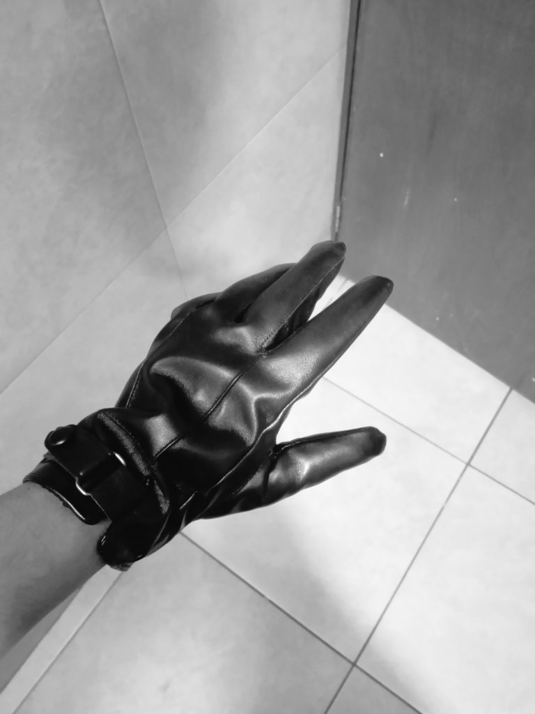 AdrianPereda's tweet photo. Me encantan mis nuevos guantes, el cuero es francamente genial https://t.co/JGNqJbf1m5