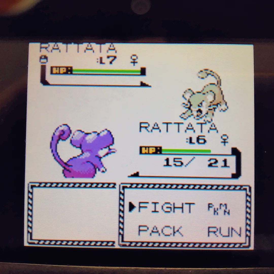 ShiningDanny1's tweet photo. We hate gen 2 🙃🙃🙃
Shiny Rattata #3 after 369 RE's✨ Phase 4 for Hoppip
#shinypokemon #shinyrattata #rattata #shiny #pokemon #gsc #silverversion #goldversion #fullodds https://t.co/nP0PQ7IBeJ