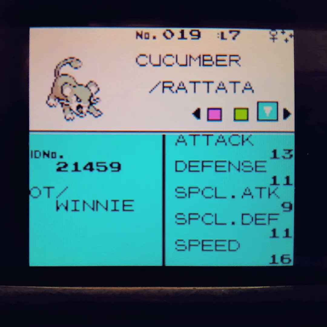 ShiningDanny1's tweet photo. We hate gen 2 🙃🙃🙃
Shiny Rattata #3 after 369 RE's✨ Phase 4 for Hoppip
#shinypokemon #shinyrattata #rattata #shiny #pokemon #gsc #silverversion #goldversion #fullodds https://t.co/nP0PQ7IBeJ