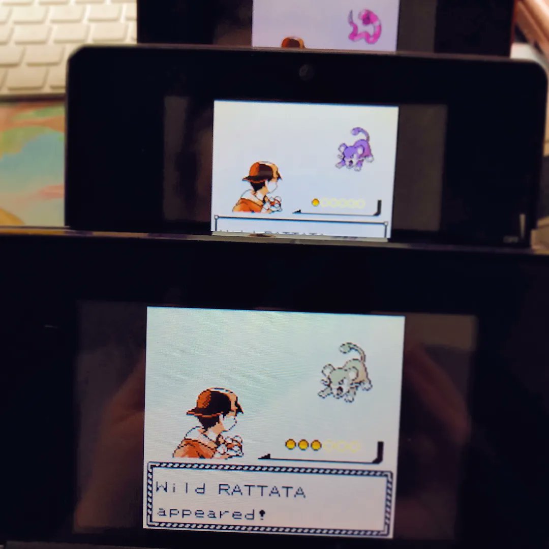 ShiningDanny1's tweet photo. We hate gen 2 🙃🙃🙃
Shiny Rattata #3 after 369 RE's✨ Phase 4 for Hoppip
#shinypokemon #shinyrattata #rattata #shiny #pokemon #gsc #silverversion #goldversion #fullodds https://t.co/nP0PQ7IBeJ
