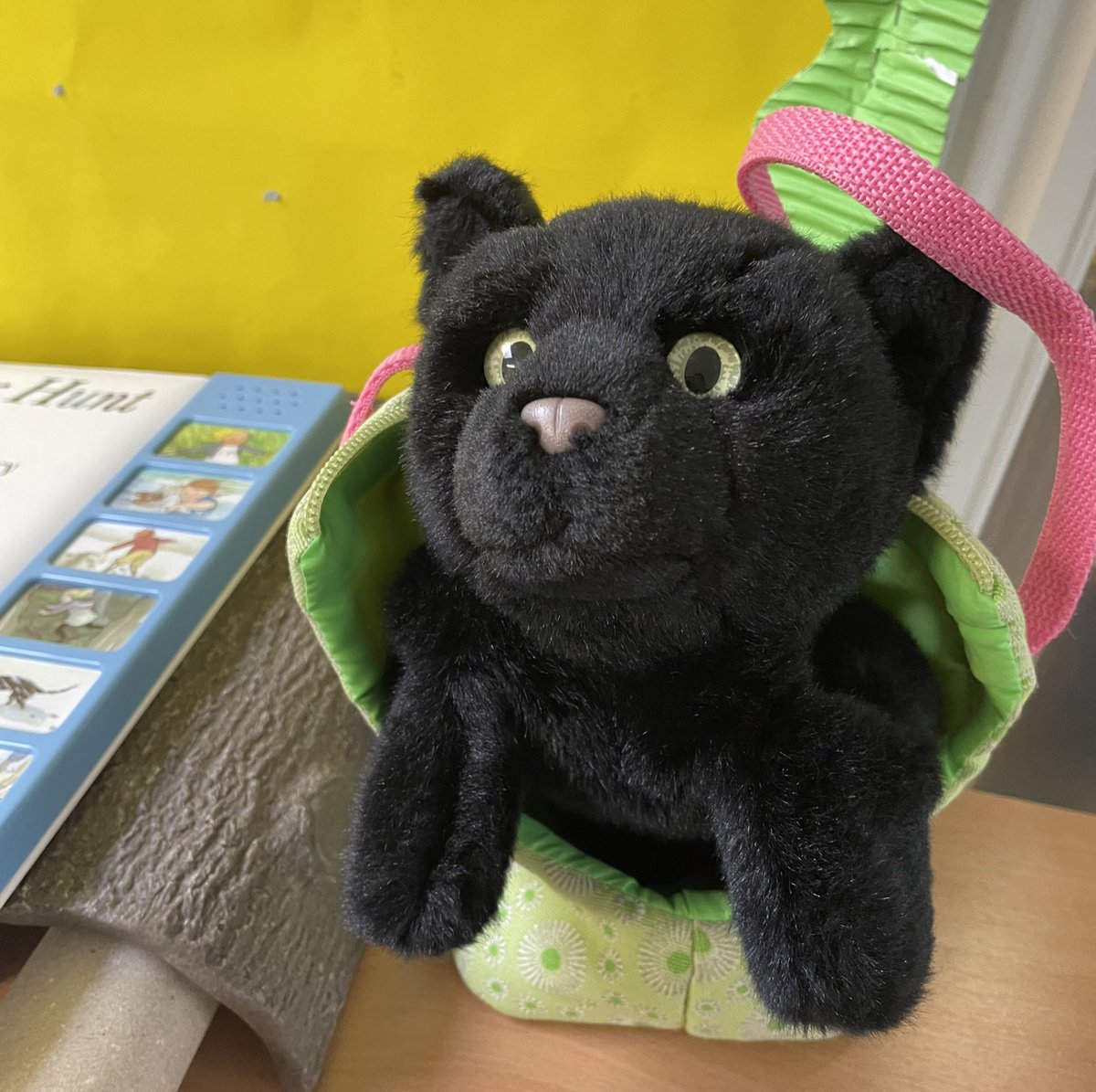 Beth Davies tweet media