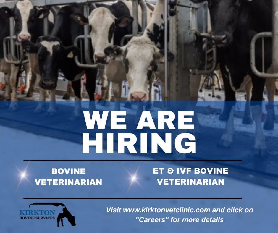 We are looking for YOU to join our team!!!  Please visit :
kirktonvetclinic.com/career-opportu… for the full job positings.