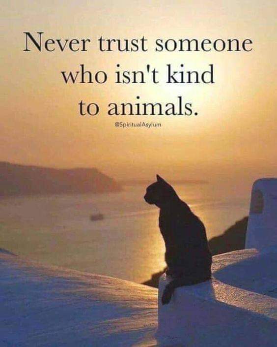 angie_karan's tweet photo. 🙏🏻🧡💞 https://t.co/rfeHRsXQ20