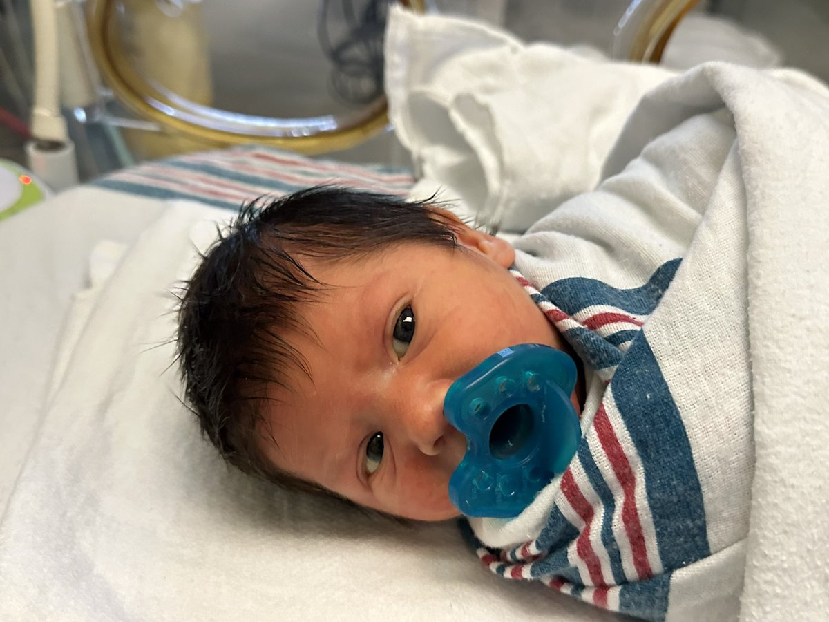 Ashley Wolf tweet media