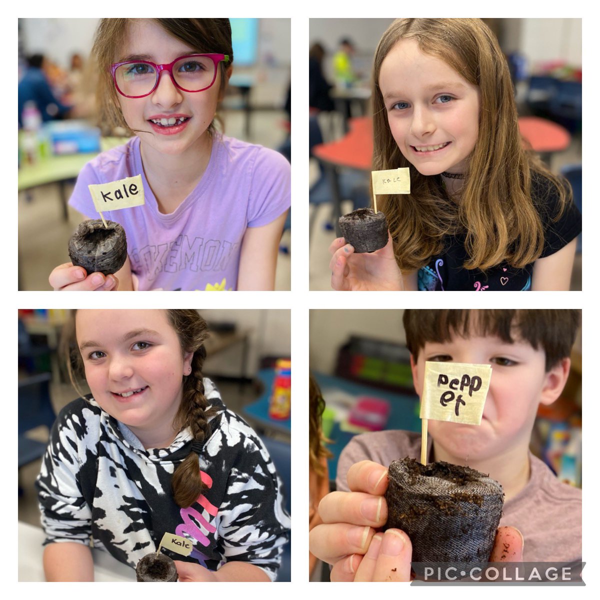 Emily O'Brien tweet media