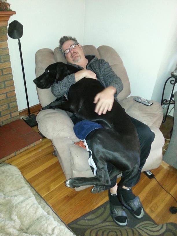 rude_scene's tweet photo. @DanaPerino @AmericaNewsroom Me and my Great Dane Patrick are watching you! https://t.co/1kWq2leWE2