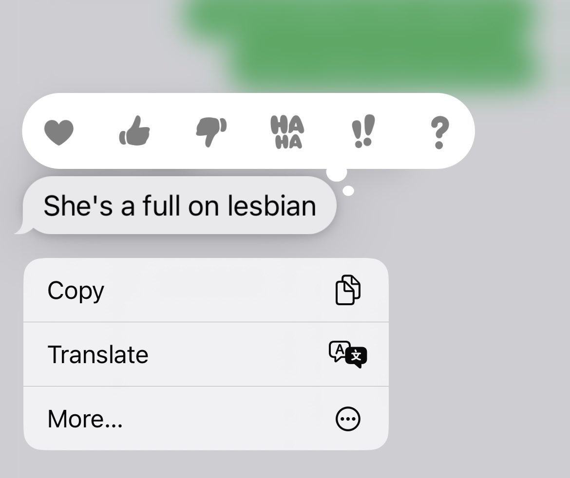 discussing kristin stewart with my sister