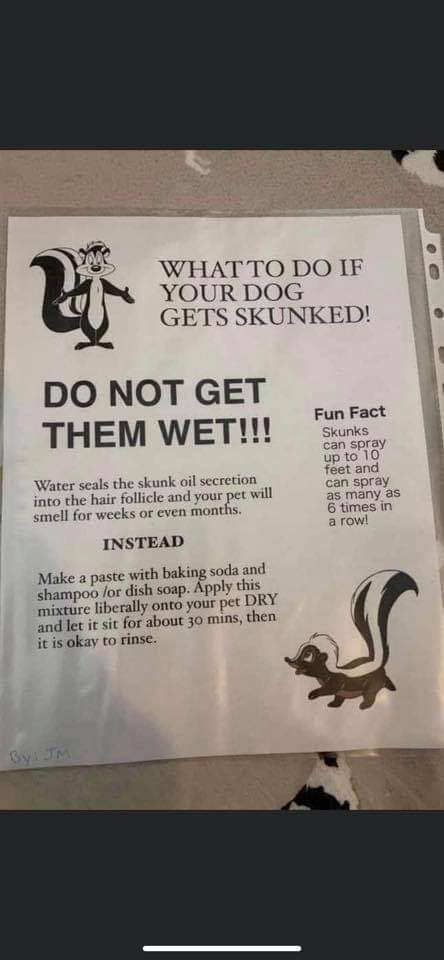 Important knowledge
