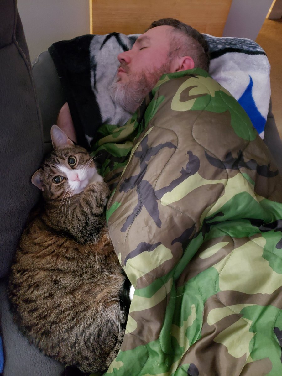 KolschAtMidnite's tweet image. When you catch him cheating on you 😂😂
#crazycats #CatsofTwittter