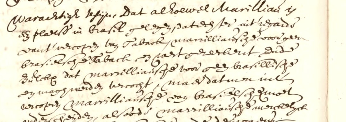 voetnoot's tweet photo. David Senior en Raphael de Haro verklaren op 3 maart 1665 dat 'alhoewel Marilliau [Maranhao?] is een plaats in Brasil gelegen' mag  Marilliausche tabak niet als Braziliaanse tabak verkocht worden, waarvan akte. #alleakten #brazilie https://t.co/BaXTMHLq89