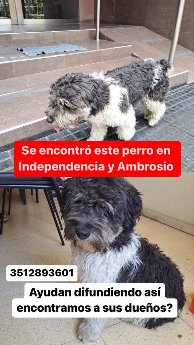PiniAlvarez's tweet photo. @VivireNuevaCba nos ayudan a difundir? https://t.co/1FfisBrYzq