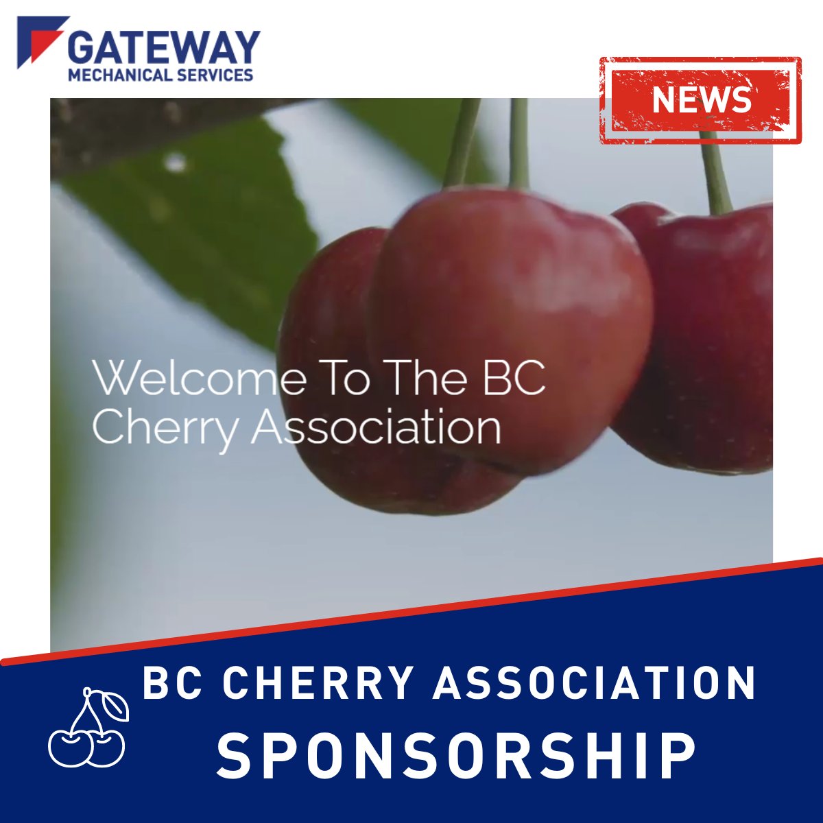 We are proud sponsors of the BC Cherry Association (BCCA)! 🍒 We are excited to support the development of the #cherry market in the #Okanagan region as experts in commercial and industrial cooling systems. Learn more about BCCA: bit.ly/3QQ88Cj

#hvac #britishcolumbia