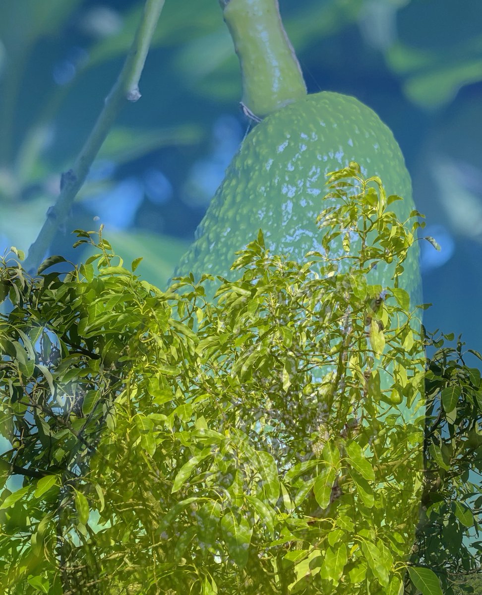 Need Time Away tweet media