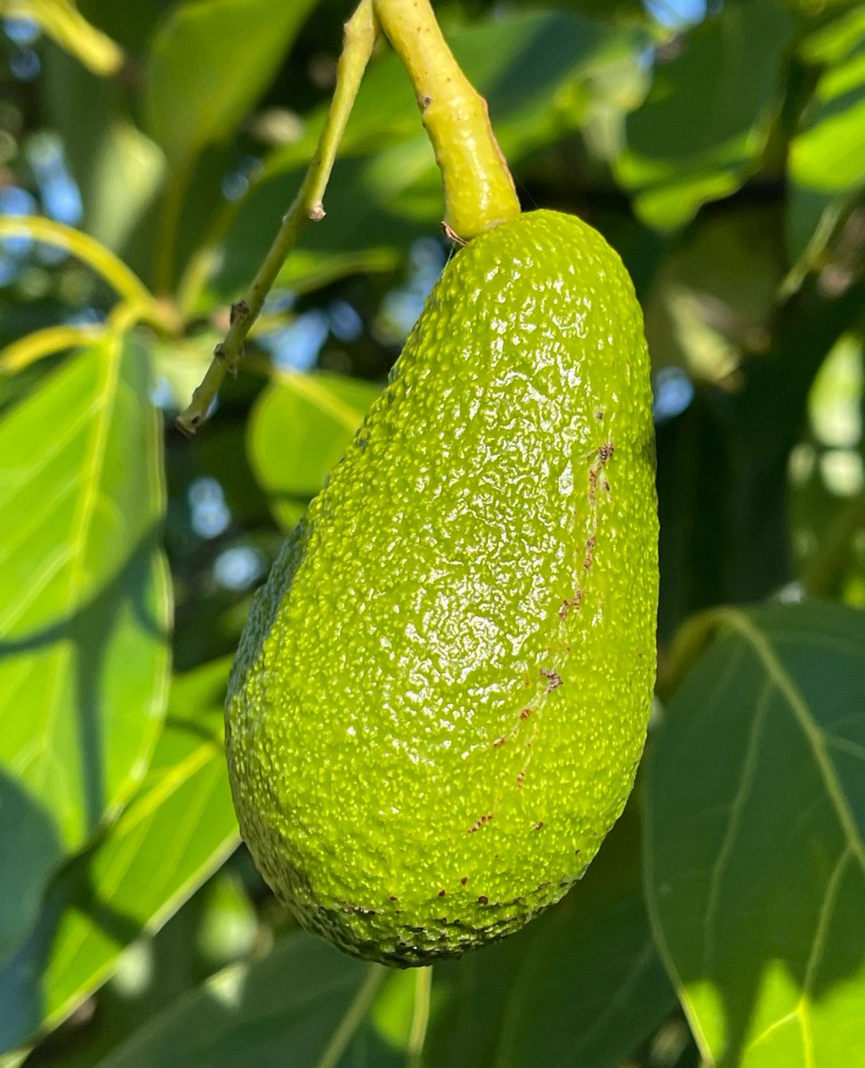 Need Time Away tweet media