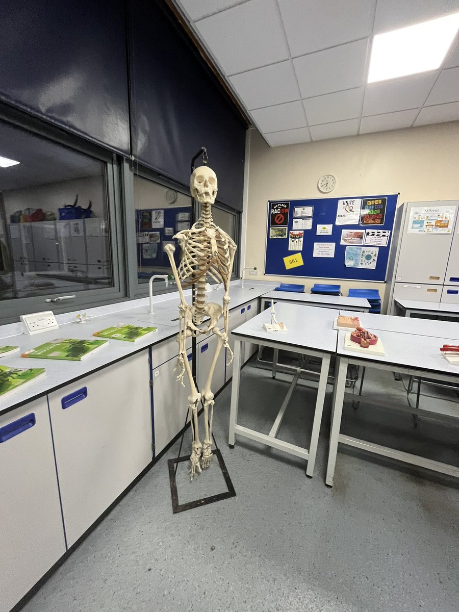 Highams Park School tweet media